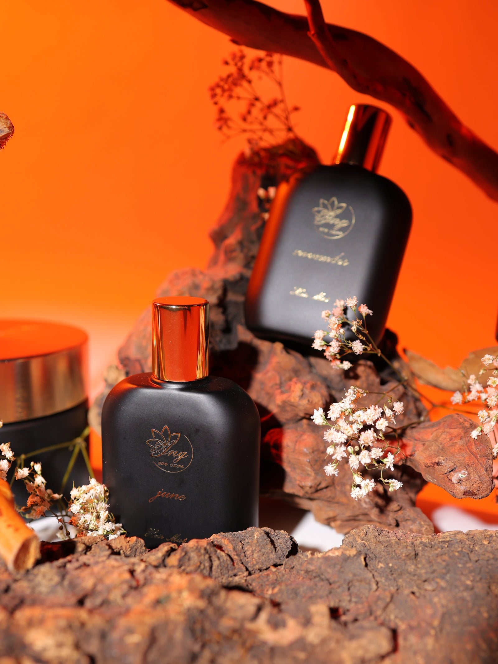 Fragrance & Mists
