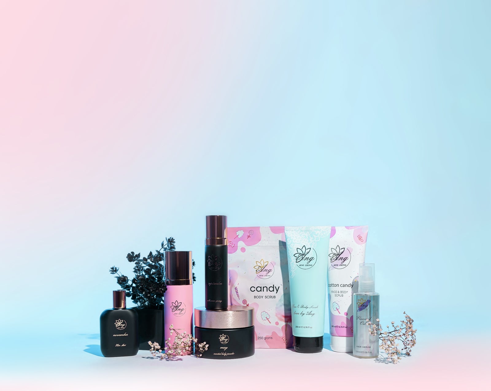 Discover Our Collection